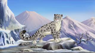 The Beauty of Snow Leopards ~(5 Fun Facts)