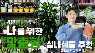 [도시농업] 박상혁 작가 #4 나를 위한 맞춤형 실내식물