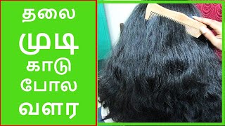 தலை முடி அடர்த்தியாக வளர சில டிப்ஸ்/Fast Hair Growth Tips/Quick Hair Growth Tips/Thick Hair Tips