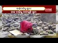 locals finding gold from drain in keonjhar kalingatv