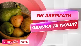 Як правильно зберігати яблука та груші? Поради фудблогерки Дарії Дорошкевич