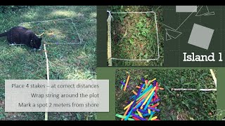 Species Area Curves and Island Biogeography Data Analyses