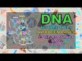 DNA - NUCLEOTIDES, NITROGEN BASES AND COMPLEMENTARY BASE PAIRING