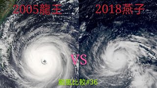 【颱風比較#36】2005龍王vs2018燕子