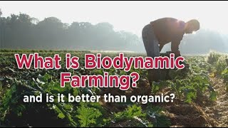 Biodynamic Agriculture - Who Was Rudolf Steiner? - (CSA) Community Supported Agriculture