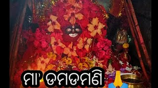 Maa Damadamani Darshan  ମା ଡମଡମଣି 🙏 #ମା #ଡମଡମଣି