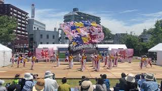 ［4K］桜舞連/黒崎よさこい祭り2024.05.19メイン会場