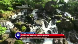 Pesona Kebun Teh Ciwidey - NET 10