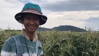 南谷流　野菜の栽培方法