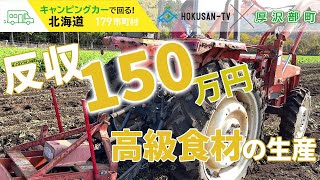 【厚沢部町】高級食材を収穫し食べる‼厚沢部の豊富な食材をいただきます！～北海道キャンピングカー冒険 121/179市町村