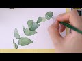 eng how to paint eucalyptus in watercolour 수채화 유칼립투스 그리기