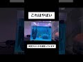 これはやばい 金魚 goldfish アクアリウム shorts