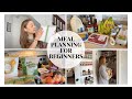 HOW TO MEAL PLAN FOR BEGINNERS! | Costco haul & restock | blurrytaylor