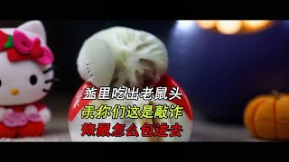 包子里吃出老鼠头，老板发飙这是敲诈，那么大的老鼠是怎么进去的 包子里吃出老鼠头，老板发飙这是敲诈，那么大的老鼠是怎么进去的#社会百态 #万万没想到 #真实事件