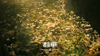Autumns End - Vysion