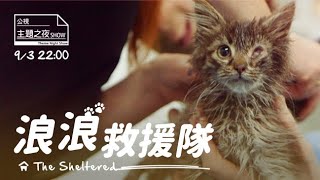 《浪浪救援隊》｜給浪浪一個家｜(Sheltered)｜紀錄片預告｜【公視主題之夜SHOW】