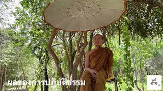 ปฏิบัติธรรมแล้วได้อะไร ?