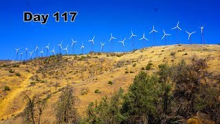 117 PCT - Wind Mills and Poodle Dog Bush