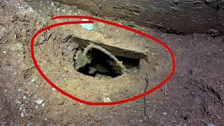 Rat and Mouse Entry Points - What to look for