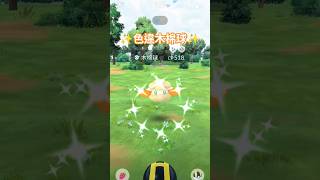 ✨色違木棉球✨橘黃色的木棉球好好看！適合秋冬的顏色！#pokemongo #pokemon #shinypokemon #寶可夢 #開拓者尼克