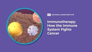Immunotherapy: How the Immune System Fights Cancer