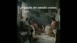 1940 முதல் 1980 க்குள் பிறந்தவர்களின் பொற்காலம்