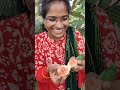 అంజీర పండు organic anjira in farm villagelifestyle vaaraahirishi viralshots