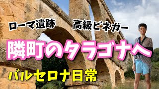 [観光] 隣町のタラゴナへ！ローマ時代の水路や最高級のワインビネガー