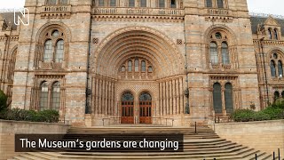 The Urban Nature Project | Natural History Museum