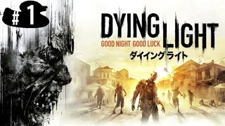 【Dying Light】ゾンビから走って逃げる。初見プレイ #1