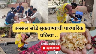 || अस्सल सोडे सुकवण्याची पारंपारिक प्रक्रिया || अर्नाळा कोळीवाडा ||@KoliyacheBol