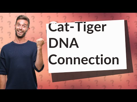 How much DNA do cats and dogs share?