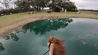 GoPro: Wyeth the Mustang (Open Training | Three Lakes Winter Horse Trials)