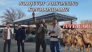 Tel+998940085166 Biz Norquvot va Jamshid Polvonlar Xonodonidamiz 6.2.2025 Surxondaryo Oltinsoy