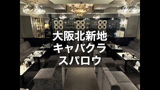 大阪北新地 キャバクラ スパロウ （Maximum Club Sparrow） 週3日～OK！送り遠方対応可！新規の集客が強いため北新地がはじめての方におススメのお店！|タピオカ【公式】