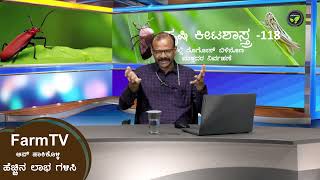 ಕೃ. ಕೀ - 118 ತೆಂಗಿನಲ್ಲಿ ರೊಗೋಸ್ ಬಿಳಿನೊಣ ಮತ್ತದರ ನಿರ್ವಹಣೆ - ಡಾ. ರಾಮೇಗೌಡ | Rugose Whitefly in Coconut