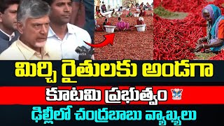 రైతులకు అండగా కూటమి ప్రభుత్వం...! CM Chandrababu Press Meet On Guntur Mirchi Yard Farmers Problems