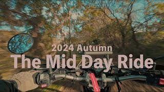 2024 Serow 250 Autumn Countryside Ride | Peaceful Roads POV