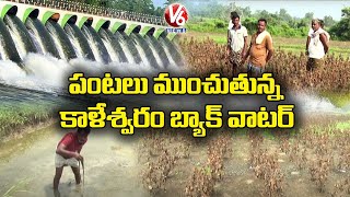 Ground Report On Farmers Faced Huge Loss Due To Kaleshwaram Backwater | V6 News