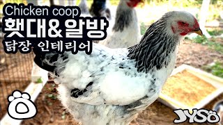 Chicken coop EP.3 | 연립닭장 짓기 3 | 알방과 횃대 | 닭장 내부 인테리어 | JYSO | 지소