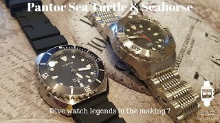 Pantor Sea Turtle  - Pantor Seahorse - First Impressions