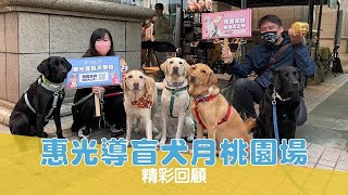 【2023導盲犬月】惠光導盲犬月桃園場 精彩回顧