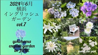 【2024年6月 横浜イングリッシュガーデン vol.7】yokohama english garden in JUNE