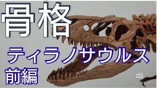 【骨格プラモデル】1/32ティラノサウルスを作る！前編