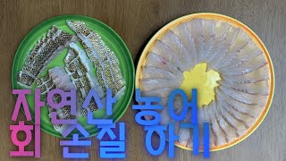 [회사랑 TV_Sashimi love] 농어 손질 영상