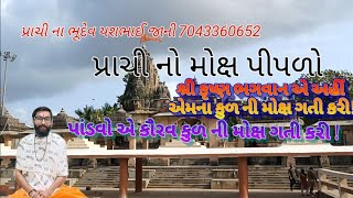 PRACHI PIPLA || પ્રાચી નો મોક્ષ પીપળો ||યશ ભાઈ જાની 7043360652