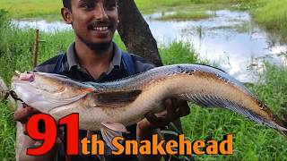 ഒരു  Poli Sanam കിട്ടിയിട്ടുണ്ട് | kerala fishing !!!