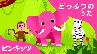 どうぶつのせかい | Animals, Animals | どうぶつのうた | ピンキッツ童謡