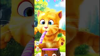 My Funny Talking Ginger 😹😍🤣#subscribe #like #shere #comment #me #moreviews