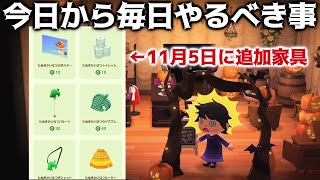 【あつ森】今日から大型アプデが来るまで毎日やらないと後悔すること！？新しい家具をもらう準備をしよう！【あつまれどうぶつの森】